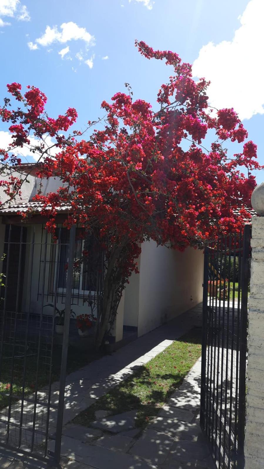Nel'S Casa Hostel A 15 Minutos De Aeropuerto Ezeiza 蒙特格兰德 外观 照片