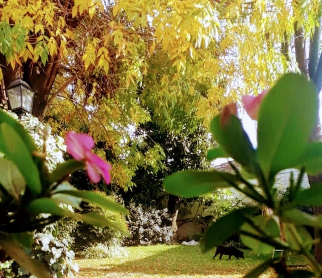 Nel'S Casa Hostel A 15 Minutos De Aeropuerto Ezeiza 蒙特格兰德 外观 照片